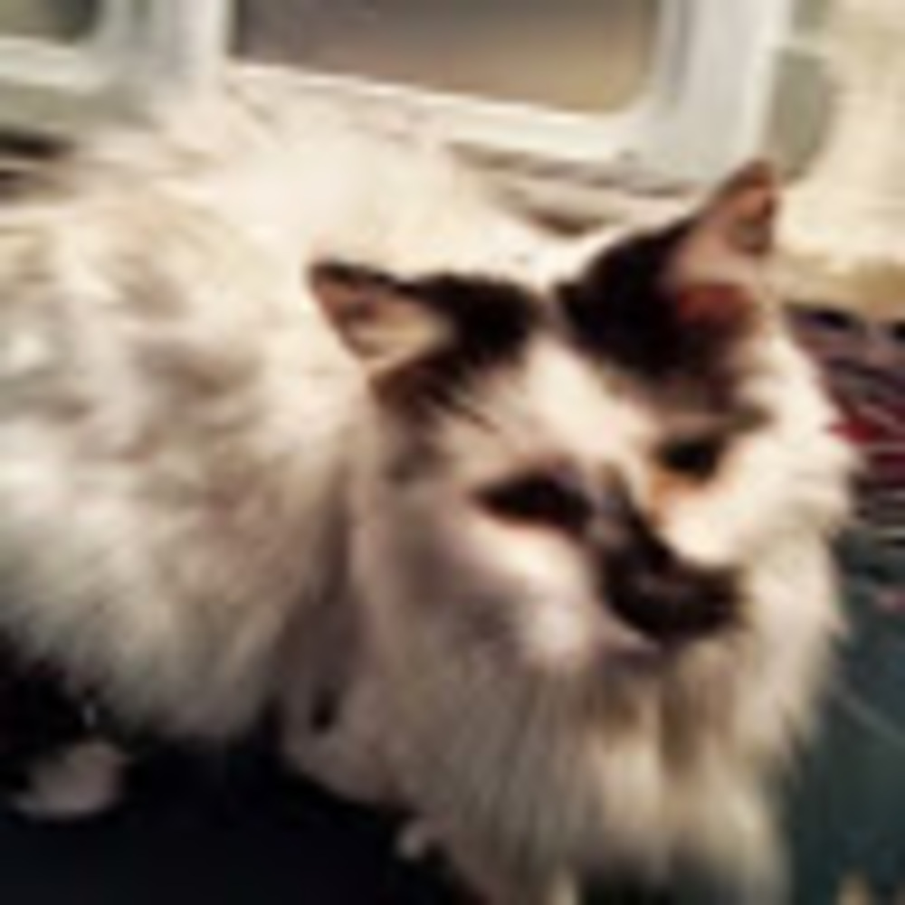 Meet your Posher, Jan